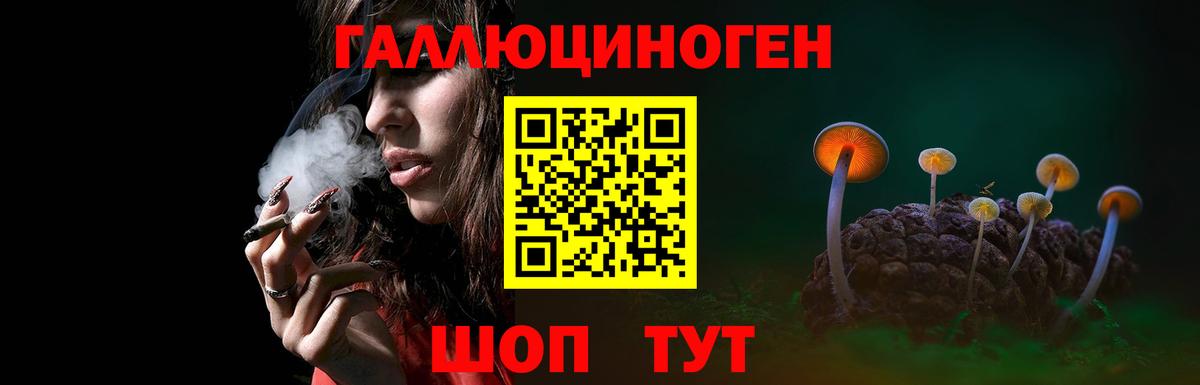 Среднеуральск  Галлюциногенные грибы прущие грибы  Вход с VPN 